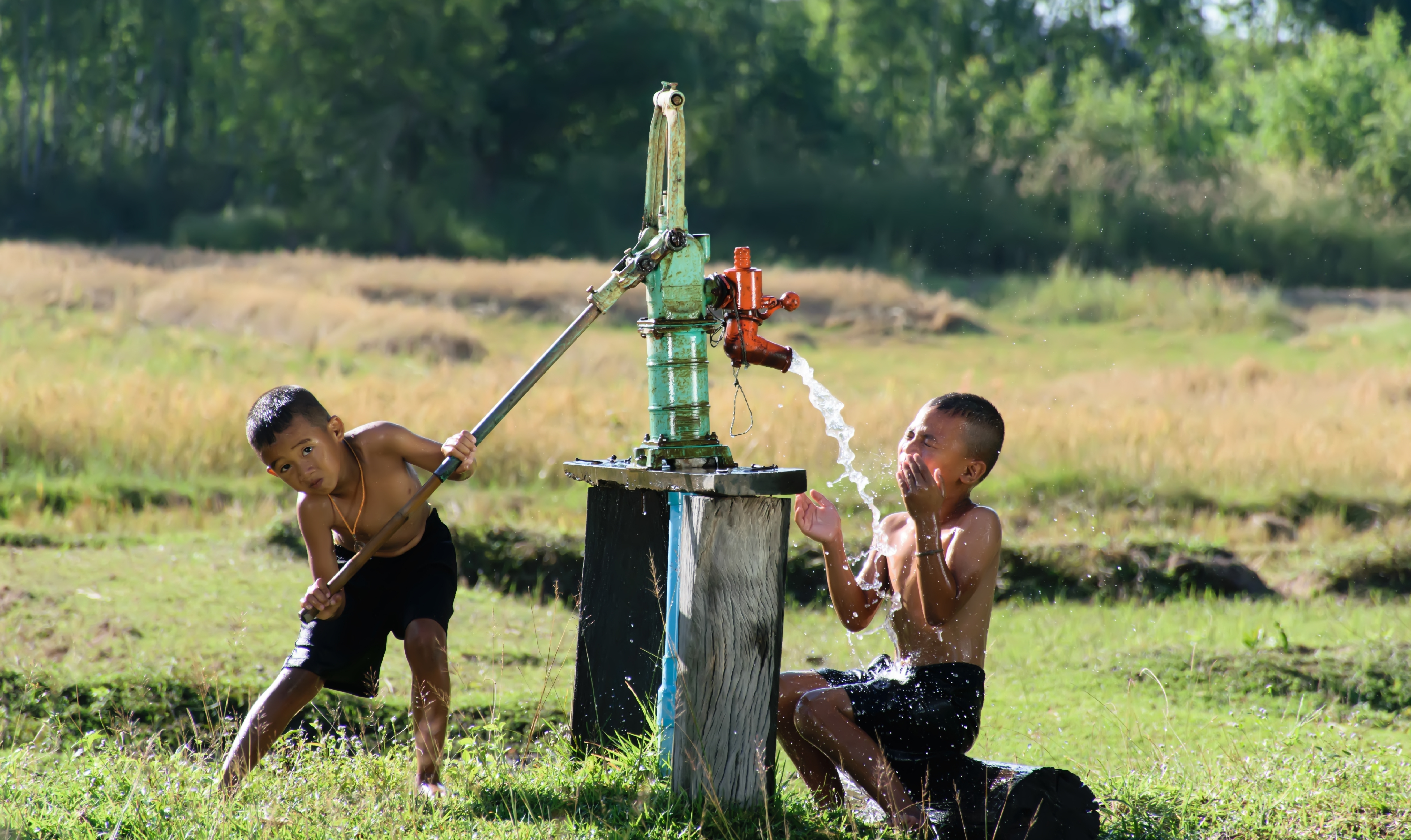 Rural Development, Water and Environment